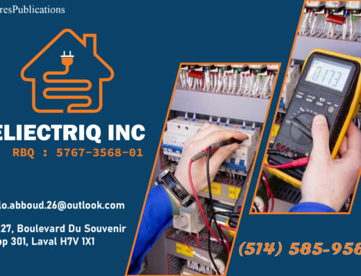 ELIECTRIQ INC