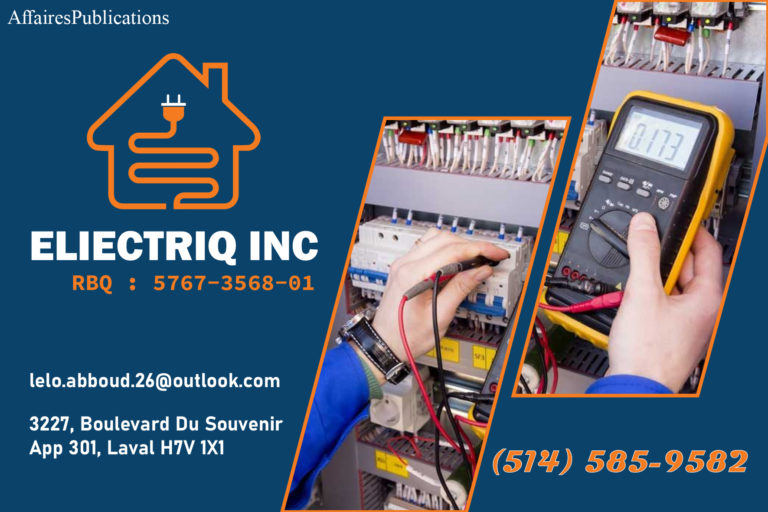 ELIECTRIQ INC