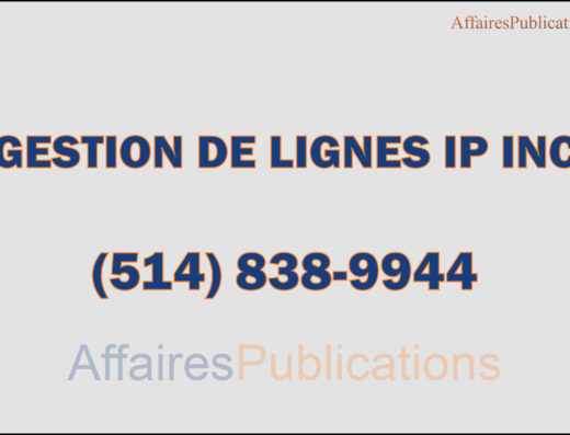 GESTION DE LIGNES IP INC