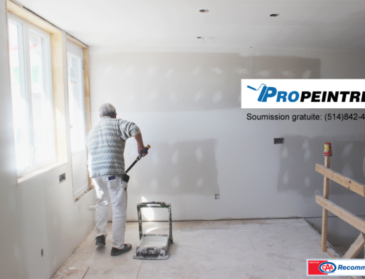 LES ENTREPRISES PROPEINTRE.COM INC