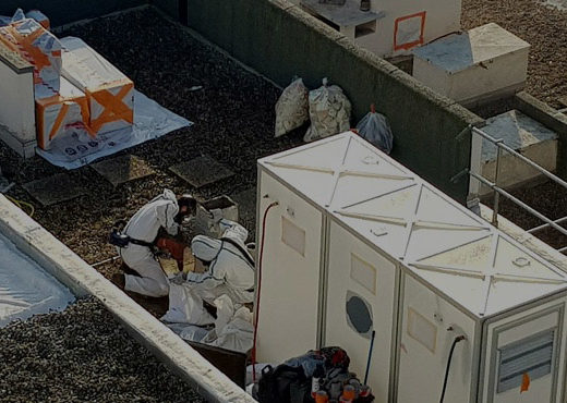DÉCONTAMINATION REMOVE INC