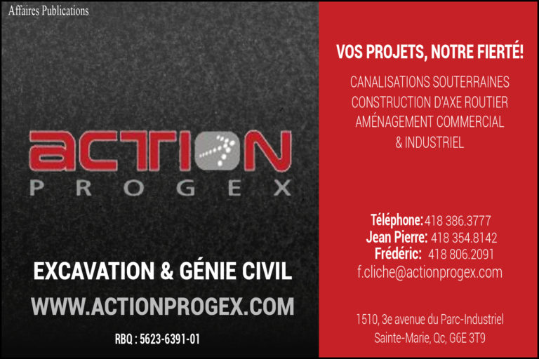 ACTION PROGEX INC