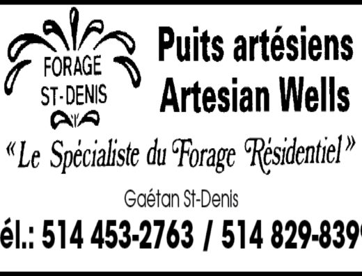 FORAGE ST-DENIS INC