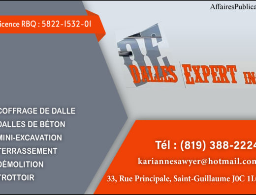 DALLES EXPERT INC