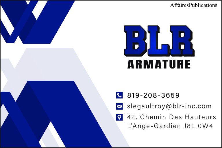 ARMATURE BLR INC
