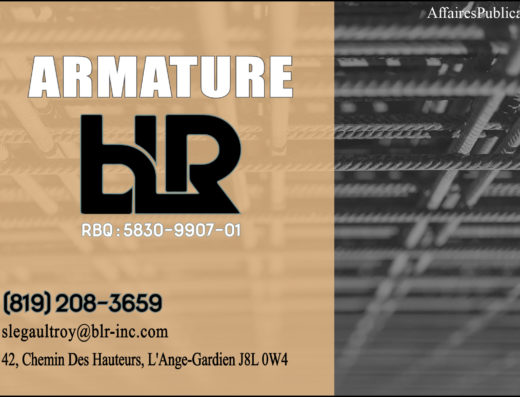 ARMATURE BLR INC