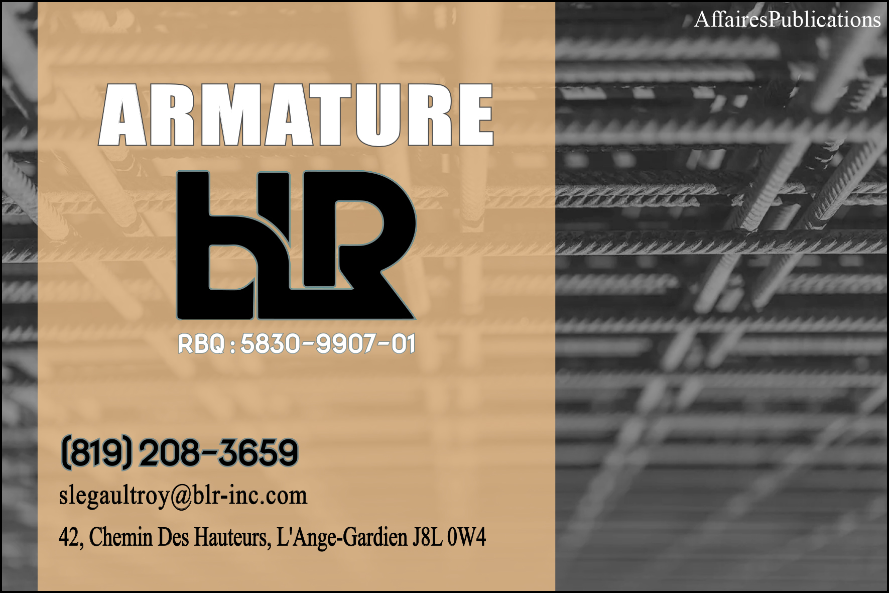ARMATURE BLR INC