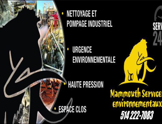 MAMMOUTH CONSTRUCTION INC