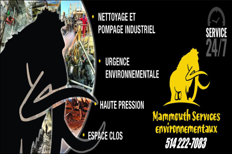 MAMMOUTH CONSTRUCTION INC
