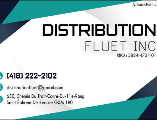 DISTRIBUTION FLUET INC