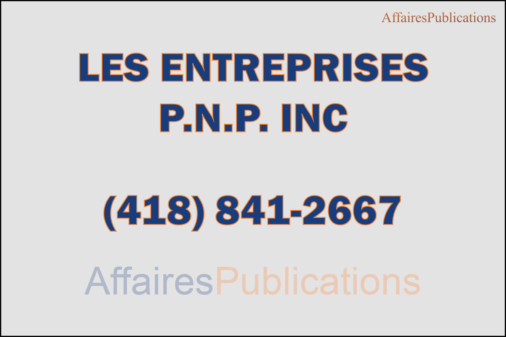 LES ENTREPRISES P.N.P. INC