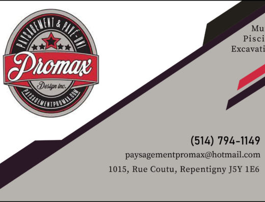 PROMAX DESIGN INC