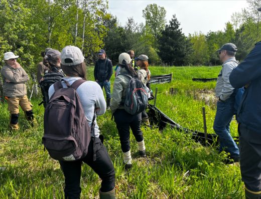 NATURE-ACTION QUÉBEC INC