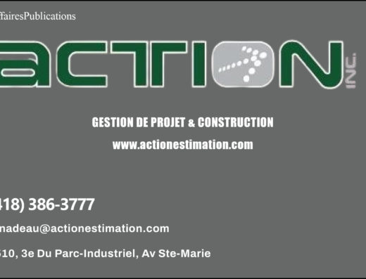 ACTION ESTIMATION INC