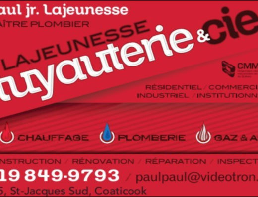 LAJEUNESSE TUYAUTERIE & CIE INC