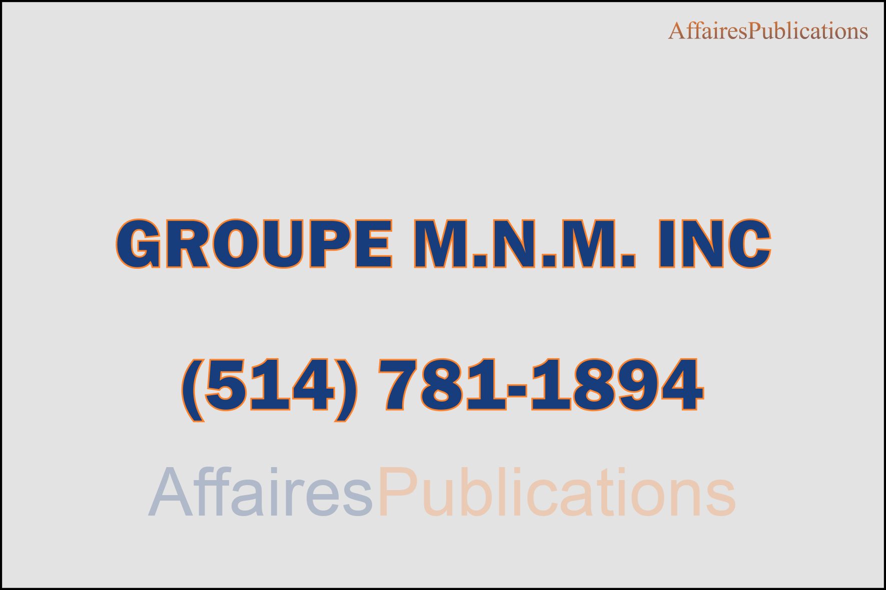GROUPE M.N.M. INC