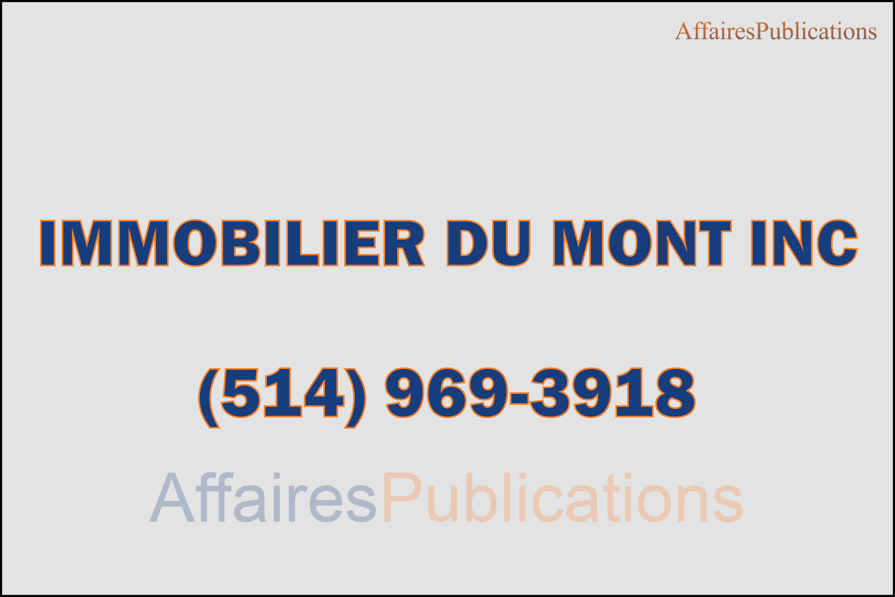 IMMOBILIER DU MONT INC