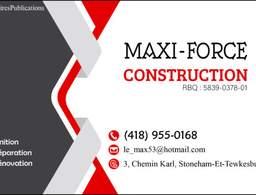 MAXI-FORCE CONSTRUCTION INC