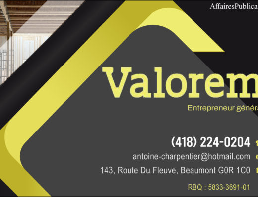 VALOREM CONSTRUCTIONS INC