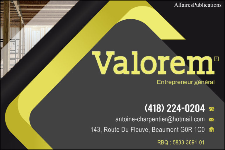 VALOREM CONSTRUCTIONS INC