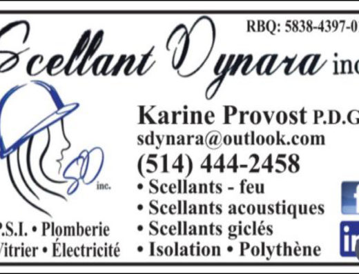 SCELLANT DYNARA INC