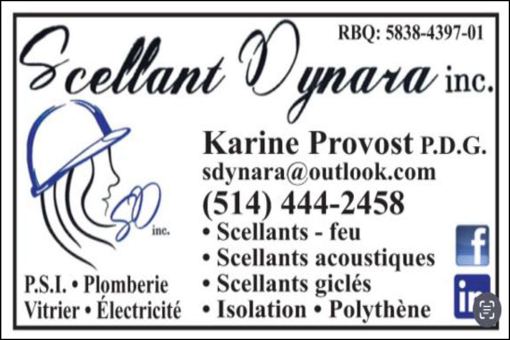 SCELLANT DYNARA INC