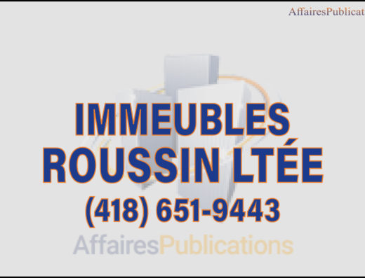 IMMEUBLES ROUSSIN LTÉE