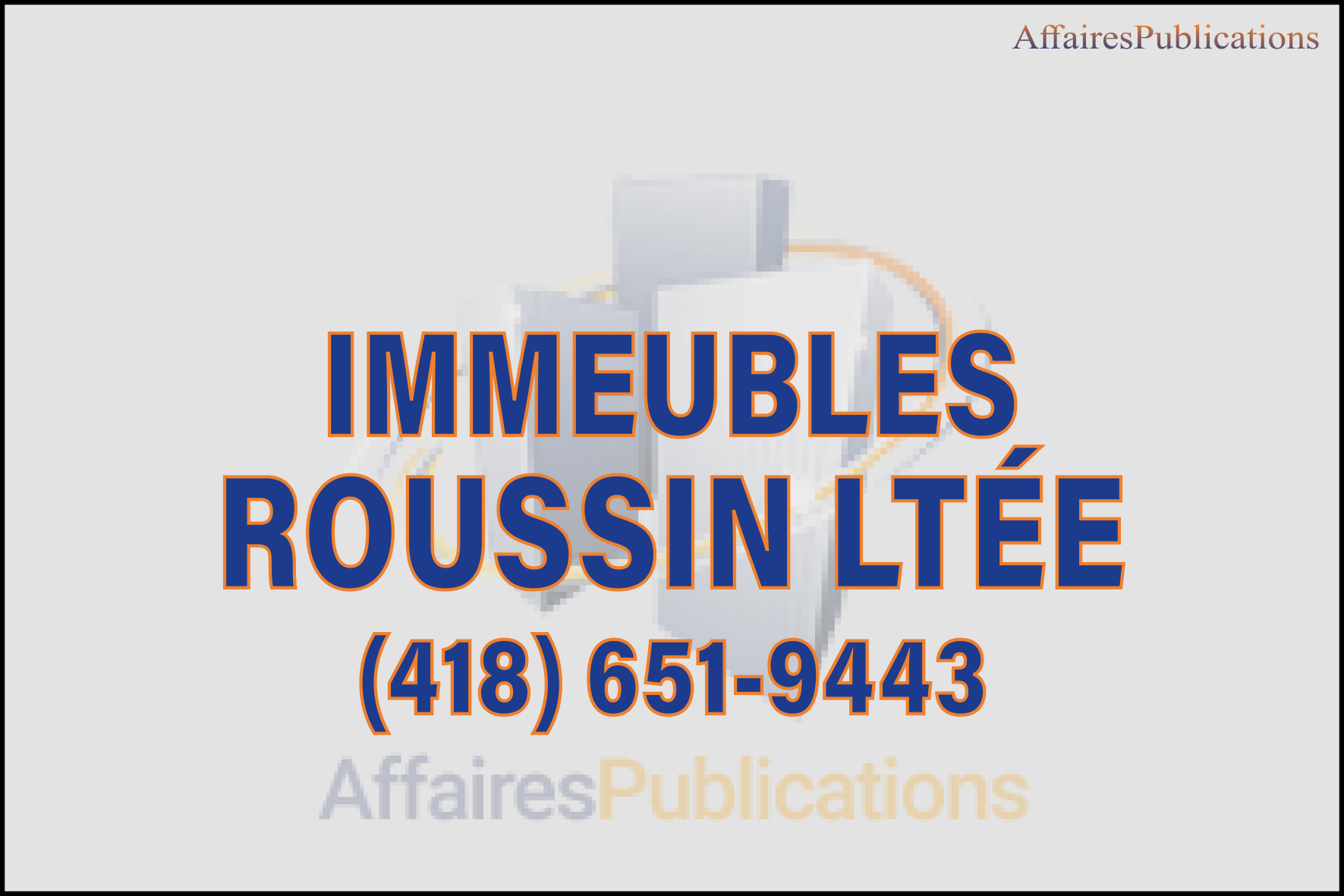 IMMEUBLES ROUSSIN LTÉE