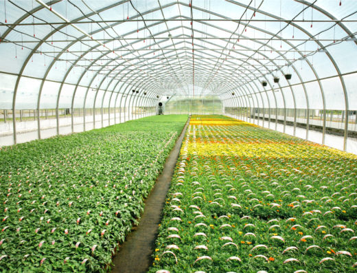 LES INDUSTRIES HARNOIS INC