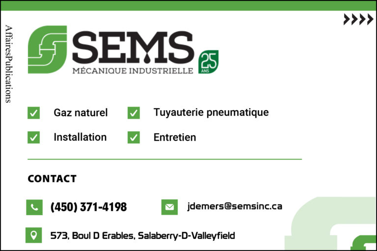 S.E.M.S INC 2947-8302 QUÉBEC INC