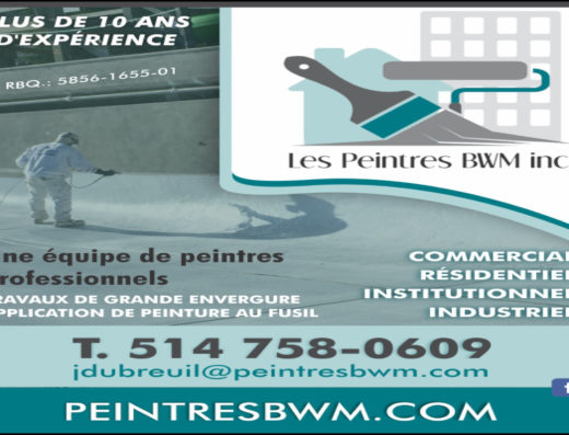LES PEINTRES BWM INC