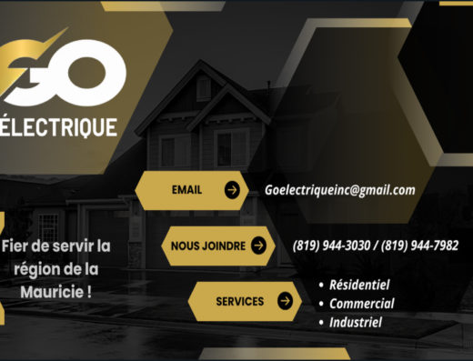 9504-7817 QUÉBEC <br/> GO ÉLECTRIQUE INC