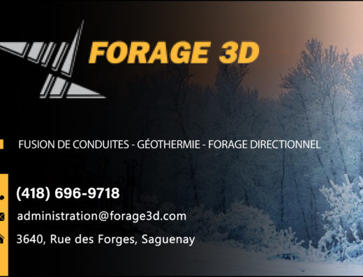 FORAGE 3D INC