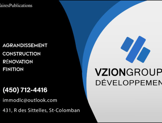 VZION GROUPE DÉVELOPPEMENT