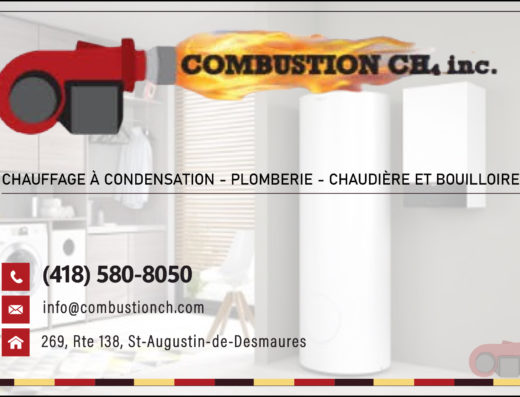 COMBUSTION CH4 INC