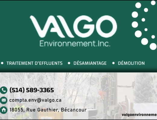 VALGO ENVIRONNEMENT INC