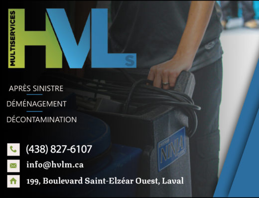 HVL MULTISERVICES INC