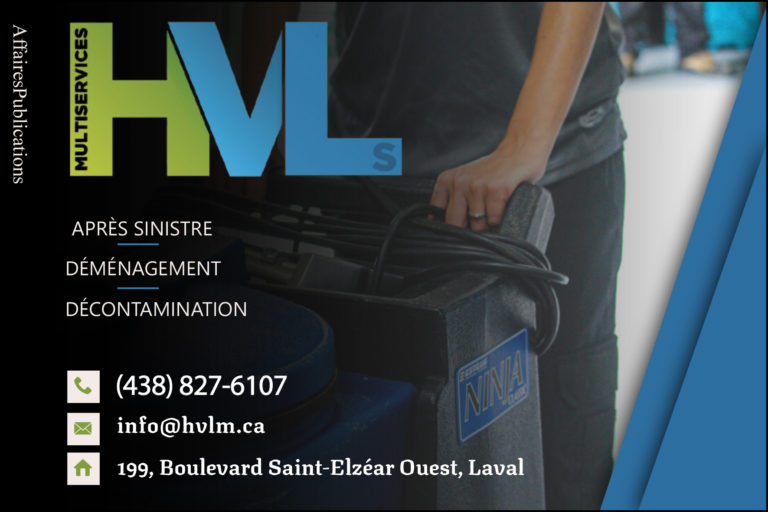 HVL MULTISERVICES INC