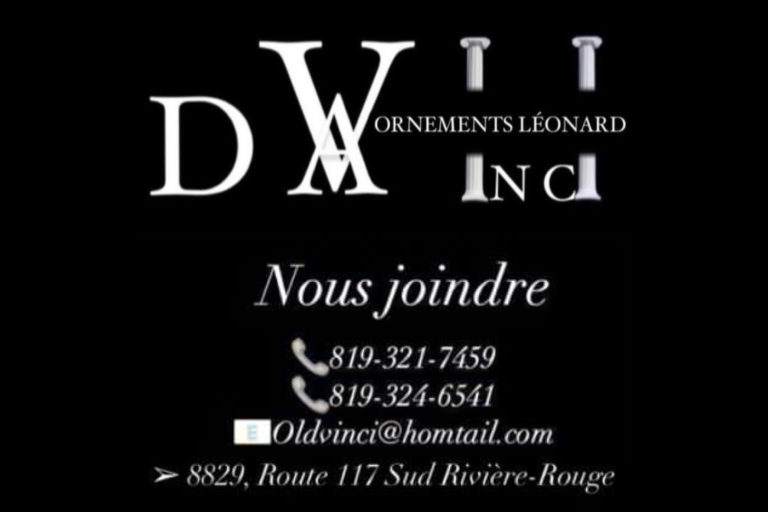 LES ORNEMENTS LÉONARD DA VINCI VII