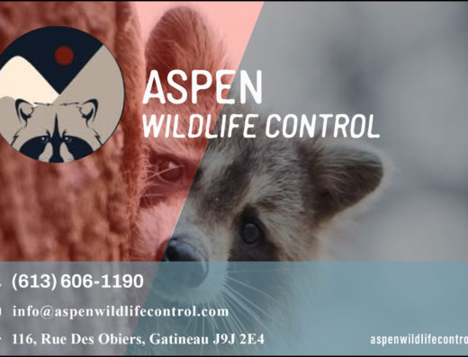 CONTRÔLE DE LA FAUNE SAUVAGE ASPEN INC