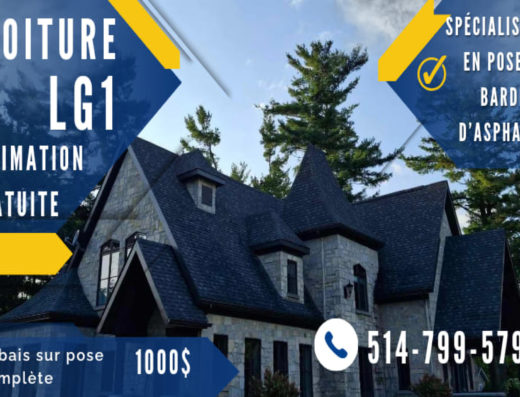 TOITURE LG1 INC