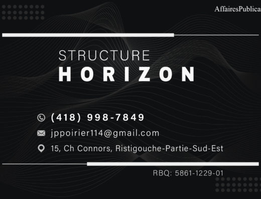 STRUCTURE HORIZON INC