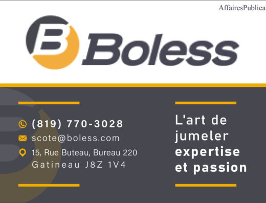 BOLESS INC