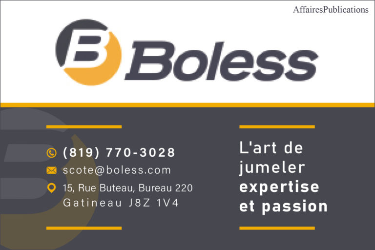 BOLESS INC