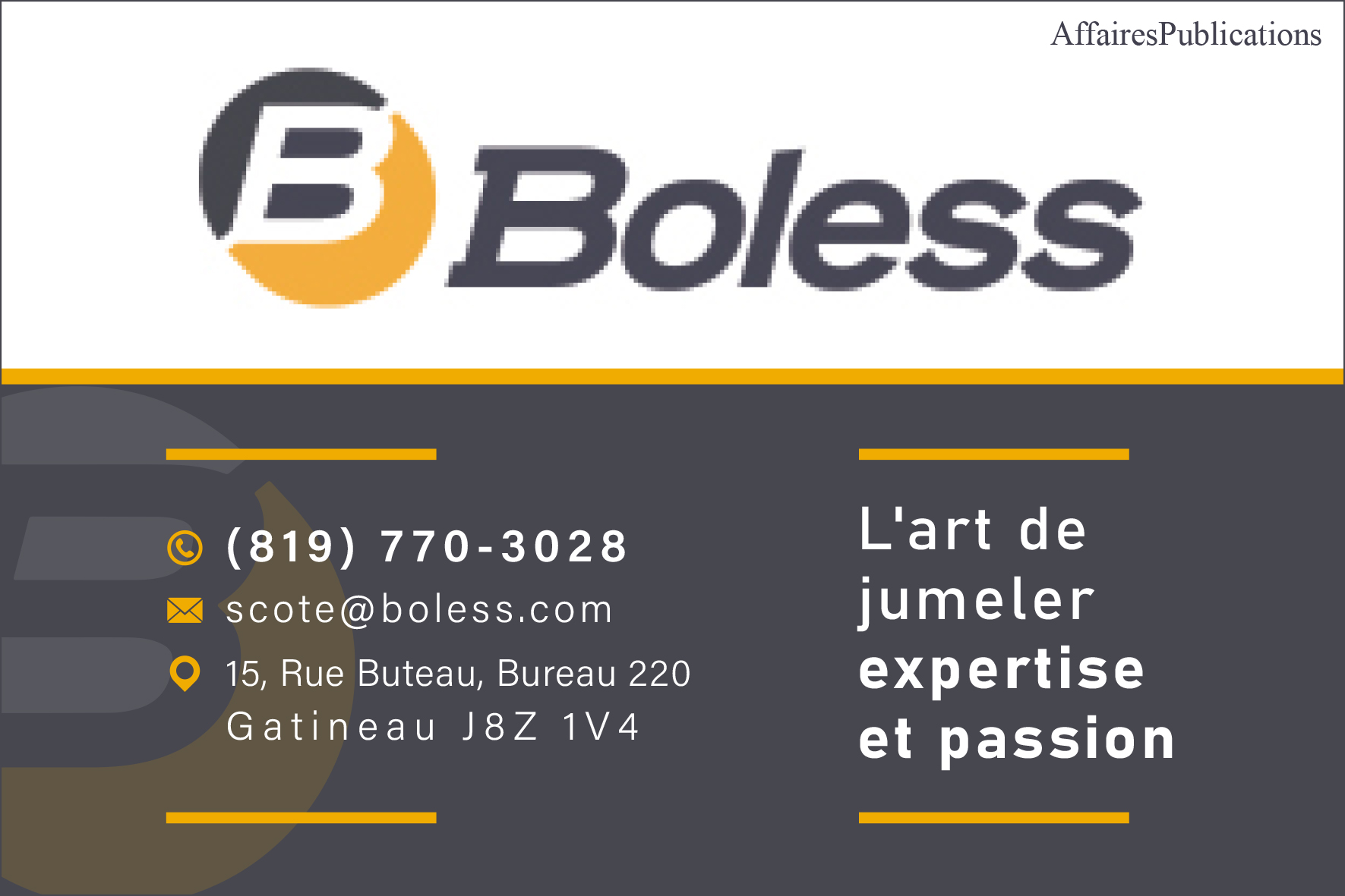 BOLESS INC