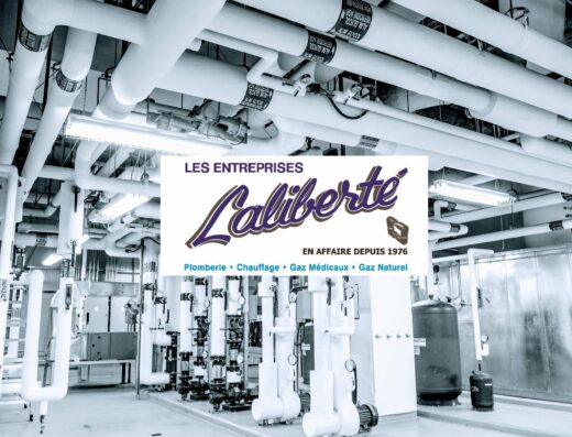 LES ENTREPRISES LALIBERTÉ & FILS INC