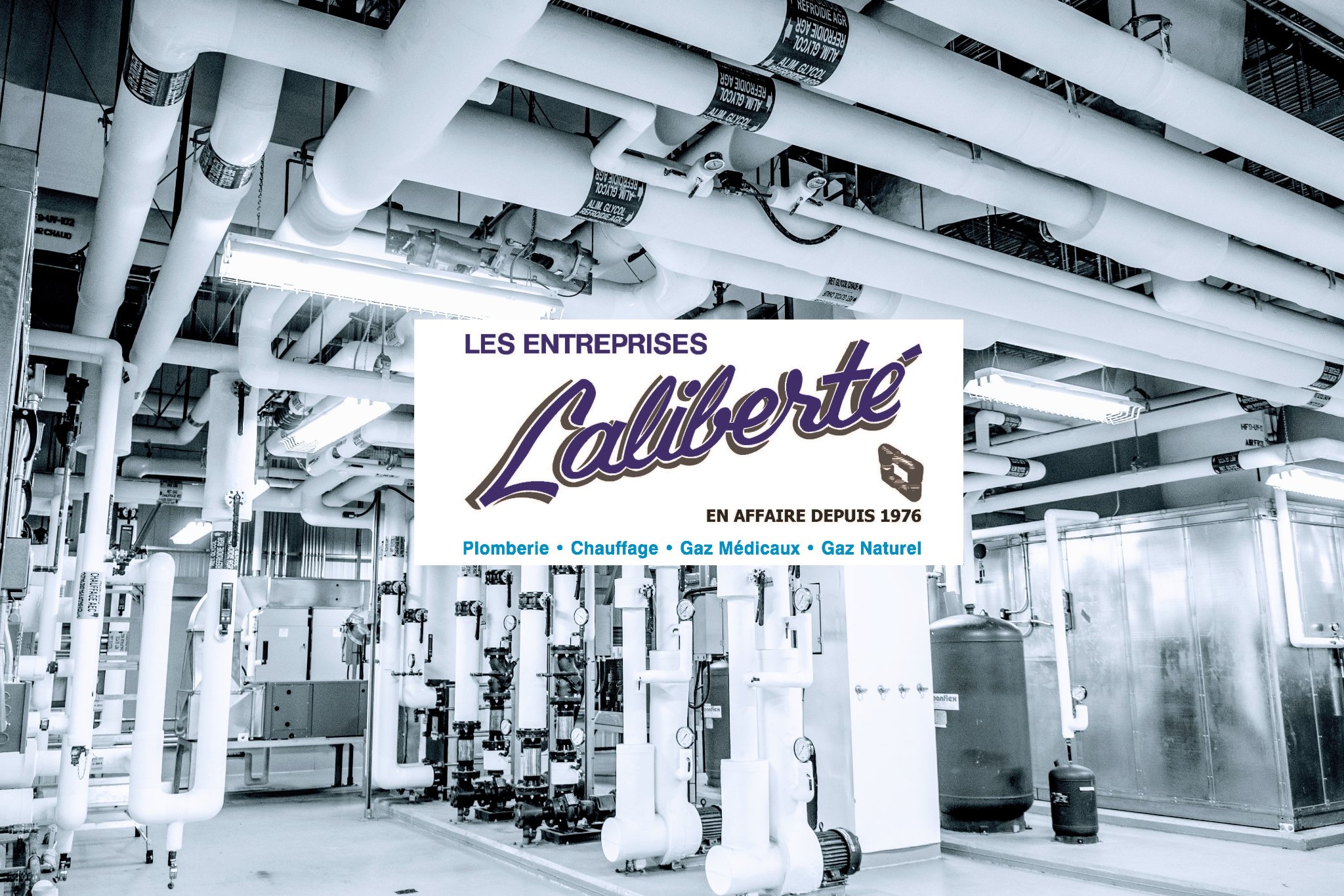 LES ENTREPRISES LALIBERTÉ & FILS INC