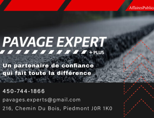 PAVAGES EXPERTS PLUS INC