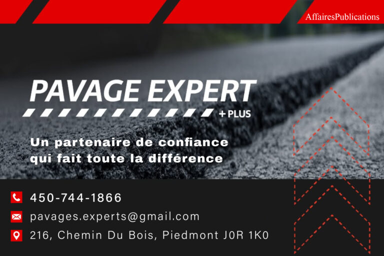 PAVAGES EXPERTS PLUS INC